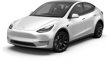 Pemacu Semua Roda Prestasi TESLA Model Y